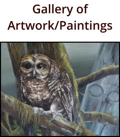Gallery of Artwork/Paintings